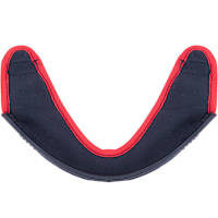 Alpinestars R10 Chin Curtain - Grey