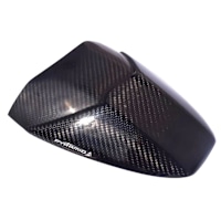Pyramid Hugger Extension Carbon - BMW S1000 R / RR (09>20)